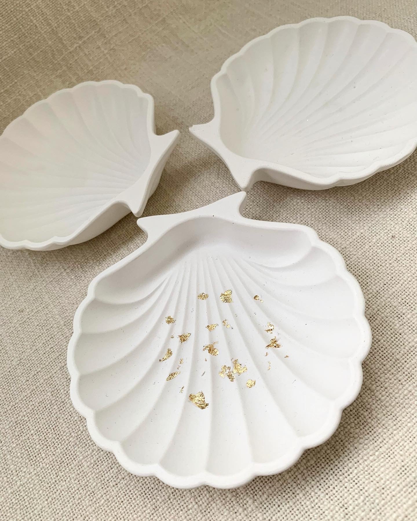 Muschelschale